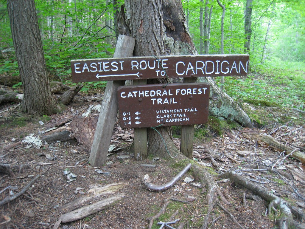 Mt Cardigan NH 2010 0118.jpg - Mt. Cardigan in New Hampshire. Summited on May 25, 2010. There are numerous trails to the peak... I had to pick the extremely difficult one. The views were worth it.